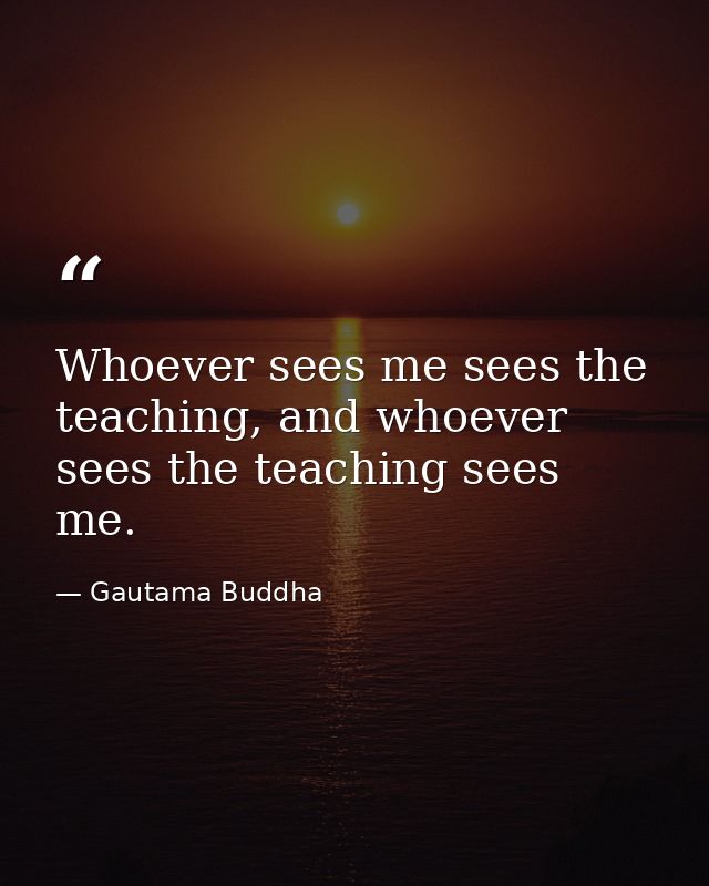 Whoever sees me sees the teaching, and whoever sees the teaching sees me. — Gautama Buddha