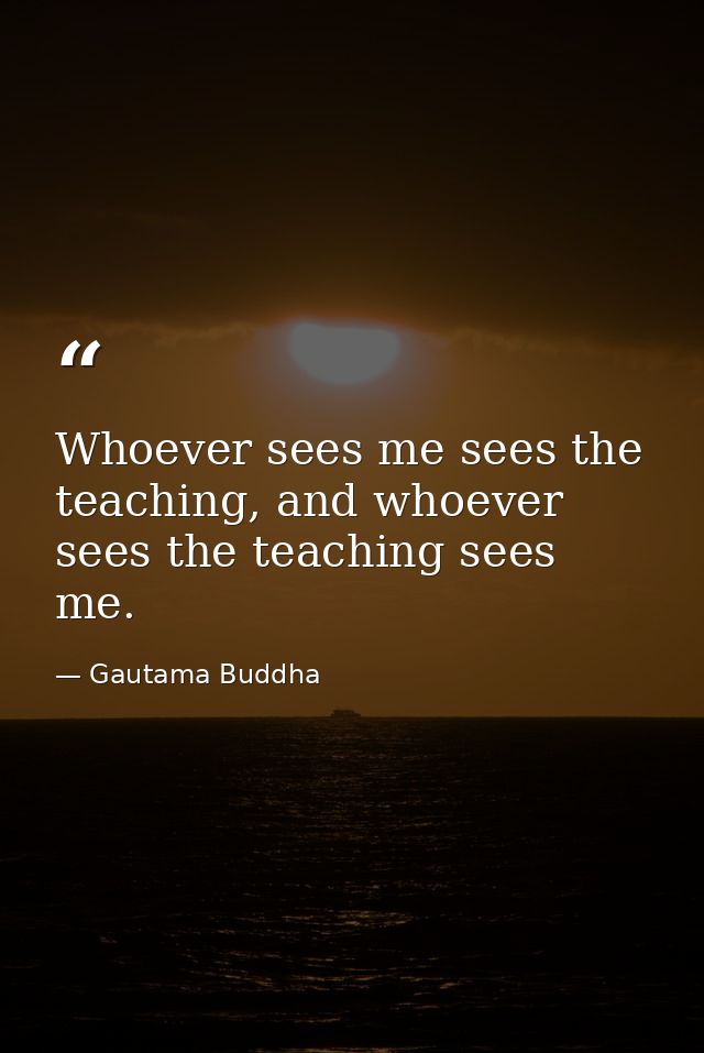 Whoever sees me sees the teaching, and whoever sees the teaching sees me. — Gautama Buddha
