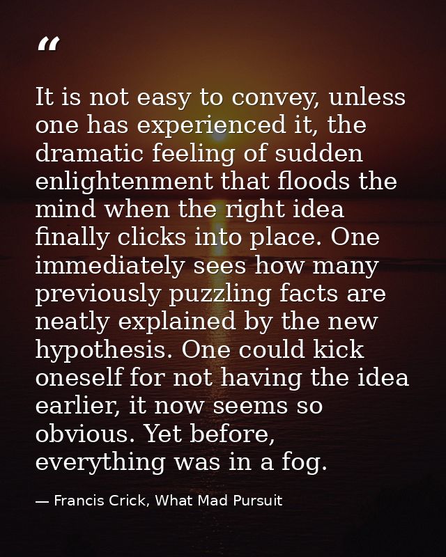 It is not easy to convey, unless one has experienced it, the dramatic feeling of sudden enlightenment that floods the mi — Francis Crick, What Mad Pursuit