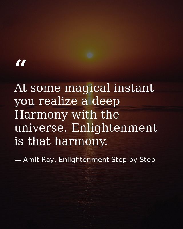 At some magical instant you realize a deep Harmony with the universe. Enlightenment is that harmony. — Amit Ray, Enlightenment Step by Step