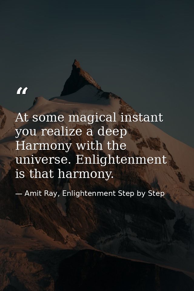 At some magical instant you realize a deep Harmony with the universe. Enlightenment is that harmony. — Amit Ray, Enlightenment Step by Step
