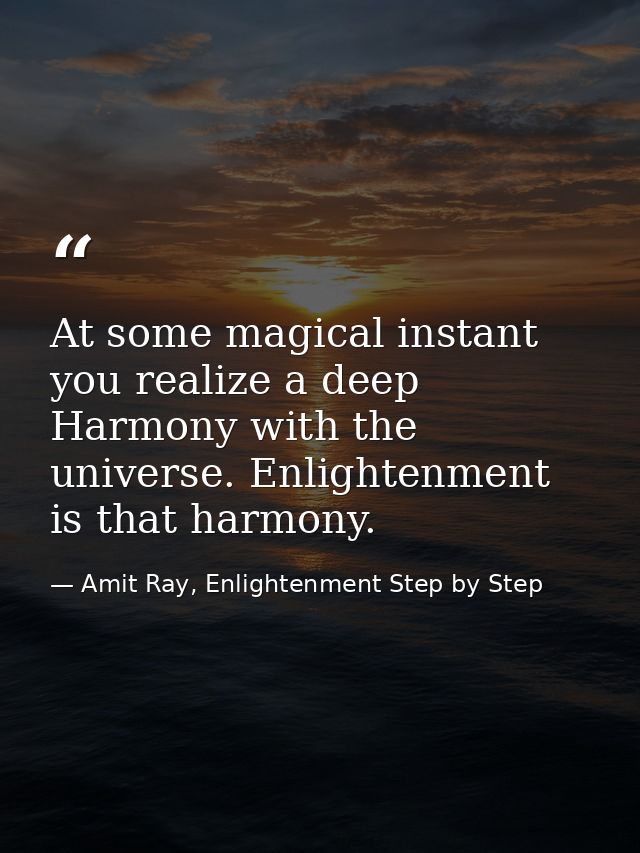At some magical instant you realize a deep Harmony with the universe. Enlightenment is that harmony. — Amit Ray, Enlightenment Step by Step