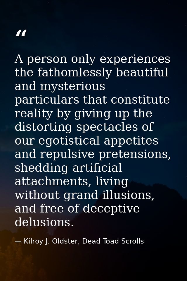 A person only experiences the fathomlessly beautiful and mysterious particulars that constitute reality by giving up the — Kilroy J. Oldster, Dead Toad Scrolls