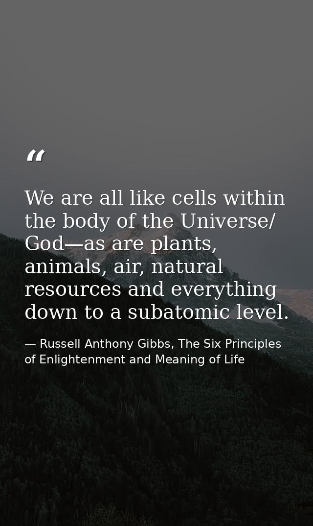We are all like cells within the body of the Universe/ God—as are plants, animals, air, natural resources and everything — Russell Anthony Gibbs, The Six Principles of Enlightenment and Meaning of Life