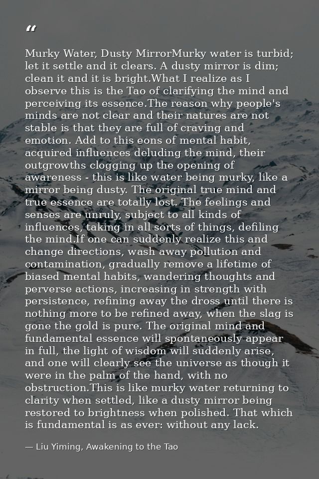 Murky Water, Dusty MirrorMurky water is turbid; let it settle and it clears. A dusty mirror is dim; clean it and it is b — Liu Yiming, Awakening to the Tao