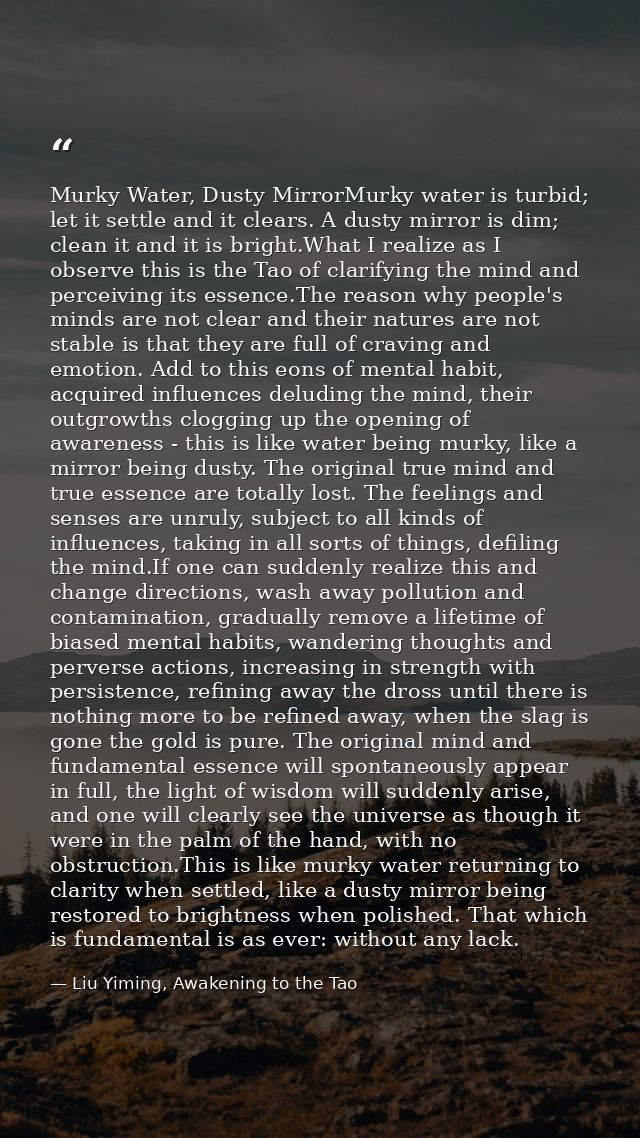 Murky Water, Dusty MirrorMurky water is turbid; let it settle and it clears. A dusty mirror is dim; clean it and it is b — Liu Yiming, Awakening to the Tao