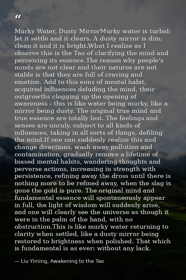 Murky Water, Dusty MirrorMurky water is turbid; let it settle and it clears. A dusty mirror is dim; clean it and it is b — Liu Yiming, Awakening to the Tao