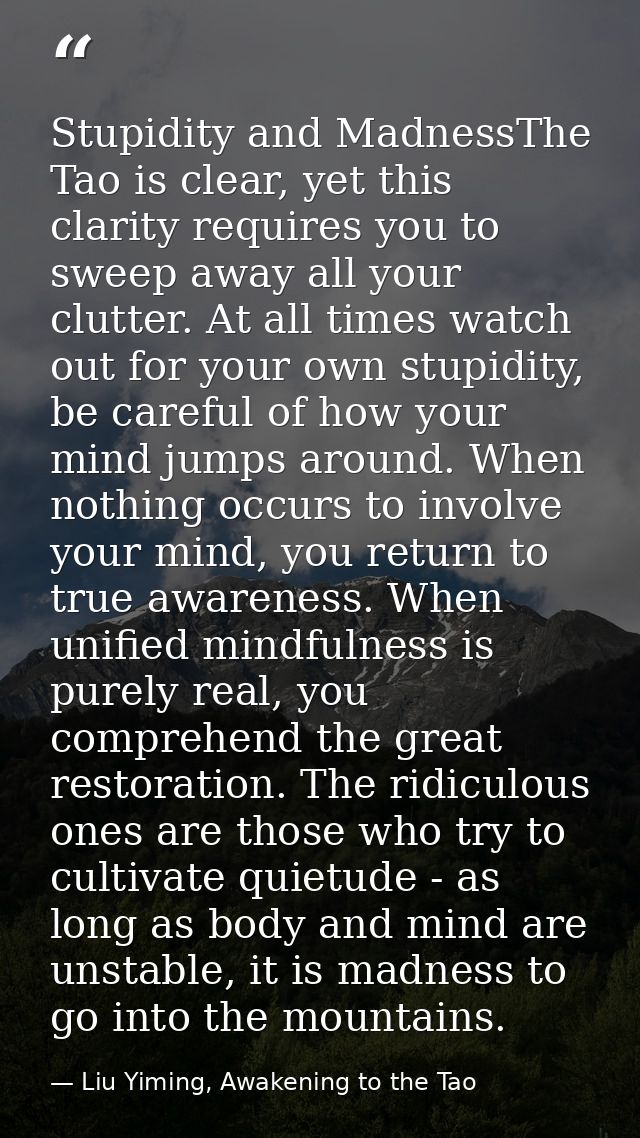 Stupidity and MadnessThe Tao is clear, yet this clarity requires you to sweep away all your clutter. At all times watch  — Liu Yiming, Awakening to the Tao