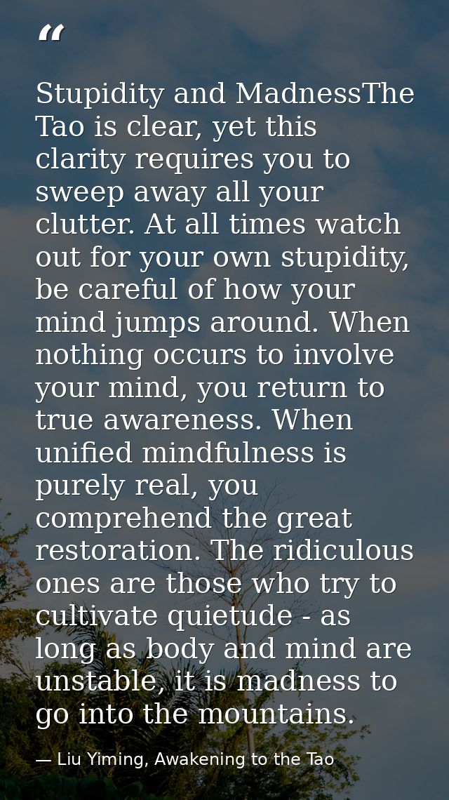 Stupidity and MadnessThe Tao is clear, yet this clarity requires you to sweep away all your clutter. At all times watch  — Liu Yiming, Awakening to the Tao