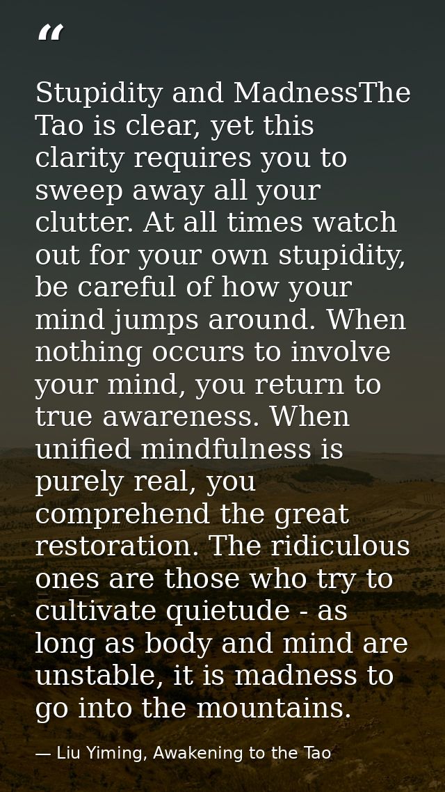 Stupidity and MadnessThe Tao is clear, yet this clarity requires you to sweep away all your clutter. At all times watch  — Liu Yiming, Awakening to the Tao