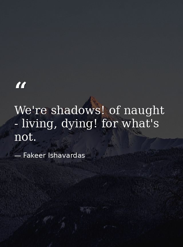We're shadows! of naught - living, dying! for what's not. — Fakeer Ishavardas