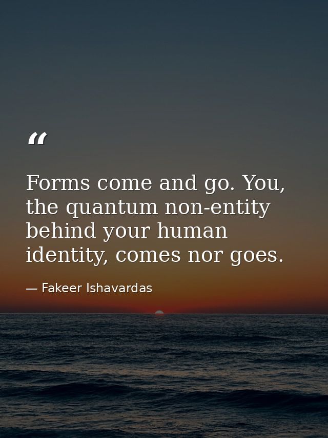 Forms come and go. You, the quantum non-entity behind your human identity, comes nor goes. — Fakeer Ishavardas