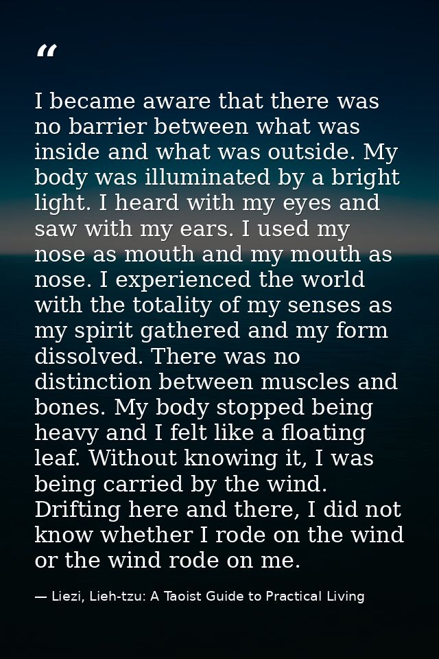 I became aware that there was no barrier between what was inside and what was outside. My body was illuminated by a brig — Liezi, Lieh-tzu: A Taoist Guide to Practical Living