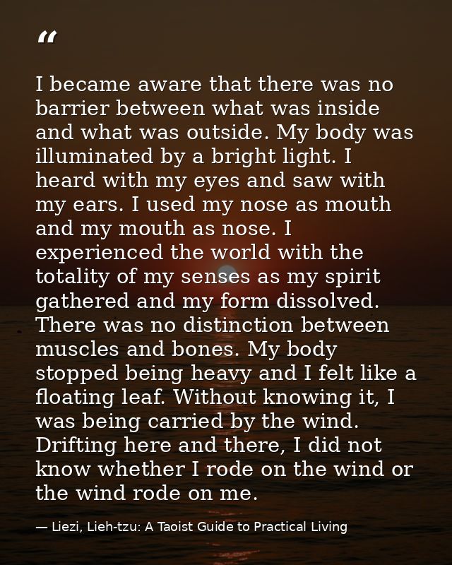 I became aware that there was no barrier between what was inside and what was outside. My body was illuminated by a brig — Liezi, Lieh-tzu: A Taoist Guide to Practical Living