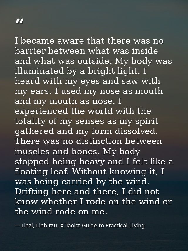 I became aware that there was no barrier between what was inside and what was outside. My body was illuminated by a brig — Liezi, Lieh-tzu: A Taoist Guide to Practical Living