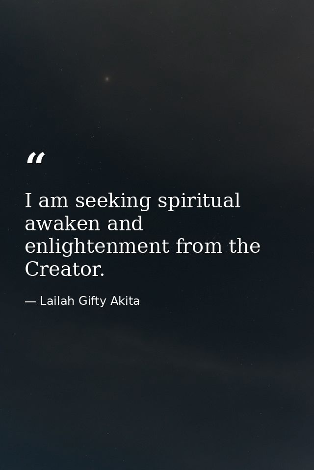 I am seeking spiritual awaken and enlightenment from the Creator. — Lailah Gifty Akita