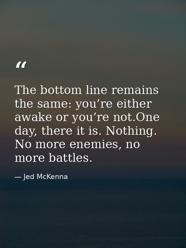 The bottom line remains the same: you’re either awake or you’re not.One day, there it is. Nothing. No more enemies, no m — Jed McKenna