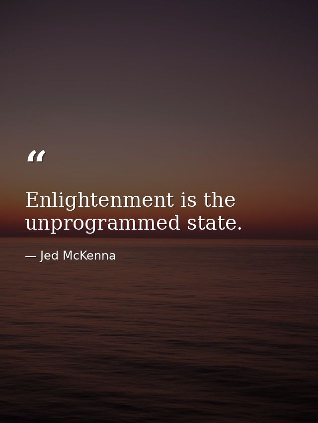 Enlightenment is the unprogrammed state. — Jed McKenna