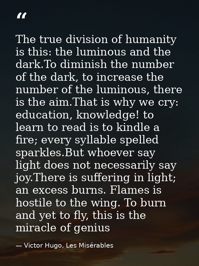 The true division of humanity is this: the luminous and the dark.To diminish the number of the dark, to increase the num — Victor Hugo, Les Misérables
