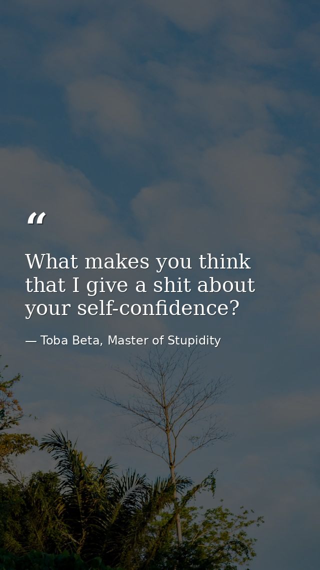 What makes you think that I give a shit about your self-confidence? — Toba Beta, Master of Stupidity