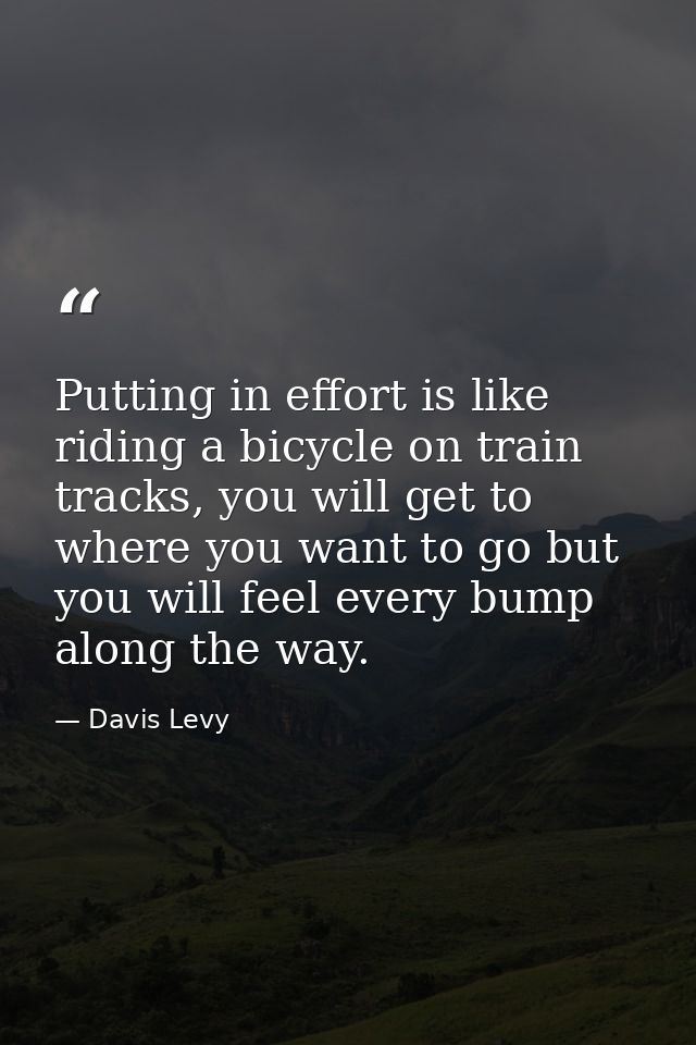 Putting in effort is like riding a bicycle on train tracks, you will get to where you want to go but you will feel every — Davis Levy