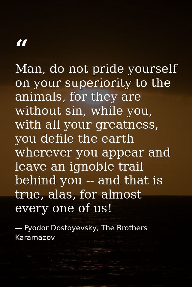 Man, do not pride yourself on your superiority to the animals, for they are without sin, while you, with all your greatn — Fyodor Dostoyevsky, The Brothers Karamazov