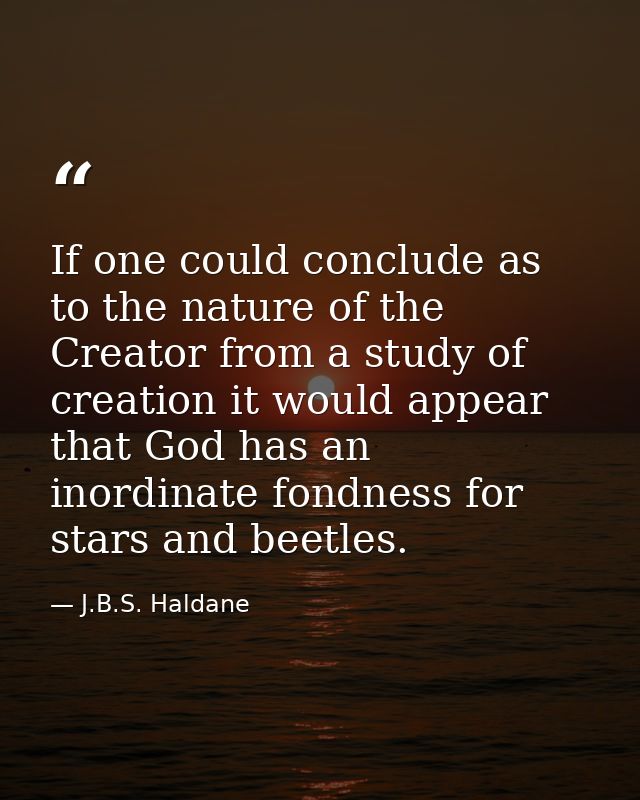 If one could conclude as to the nature of the Creator from a study of creation it would appear that God has an inordinat — J.B.S. Haldane