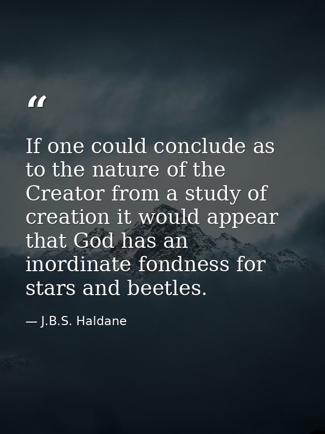 If one could conclude as to the nature of the Creator from a study of creation it would appear that God has an inordinat — J.B.S. Haldane