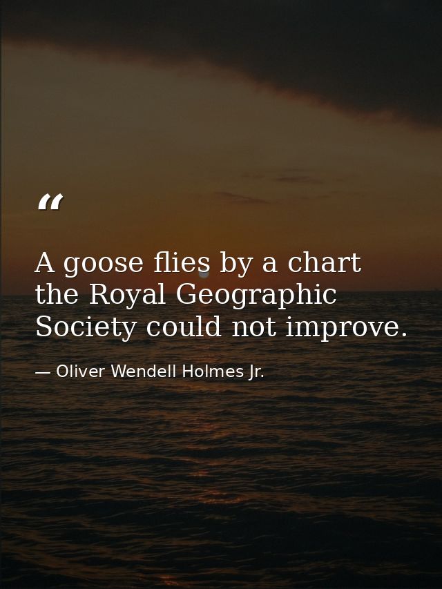 A goose flies by a chart the Royal Geographic Society could not improve. — Oliver Wendell Holmes Jr.