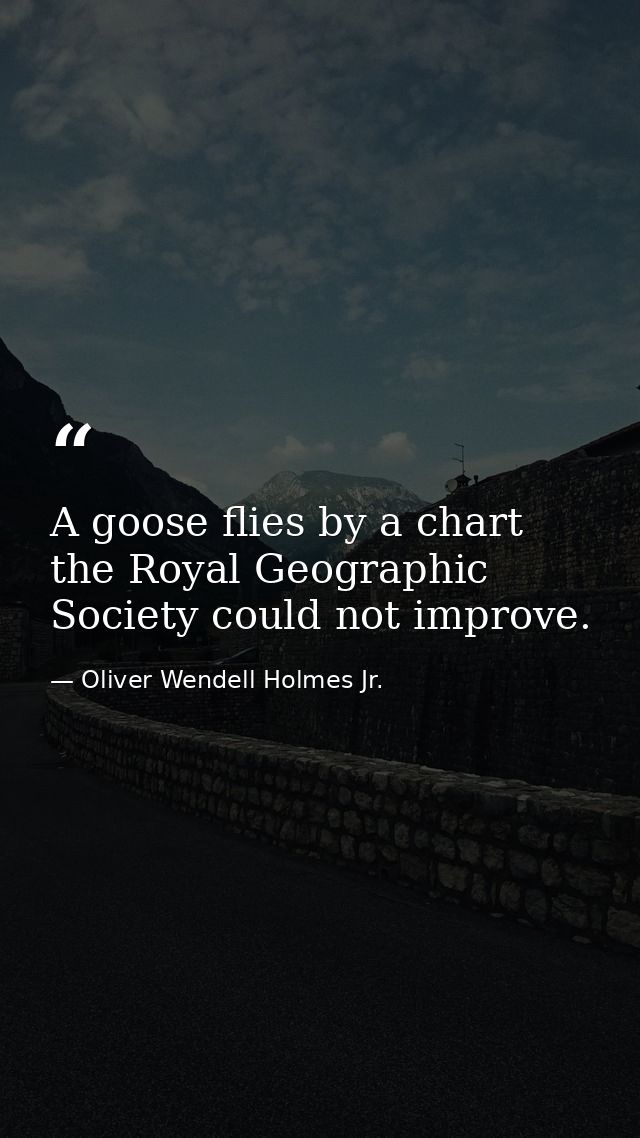 A goose flies by a chart the Royal Geographic Society could not improve. — Oliver Wendell Holmes Jr.