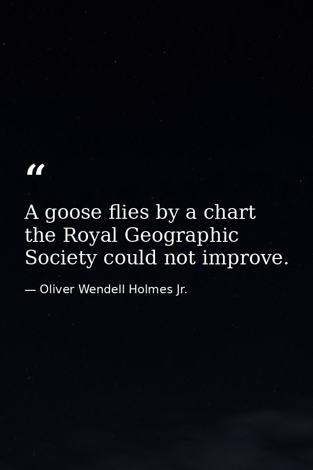 A goose flies by a chart the Royal Geographic Society could not improve. — Oliver Wendell Holmes Jr.