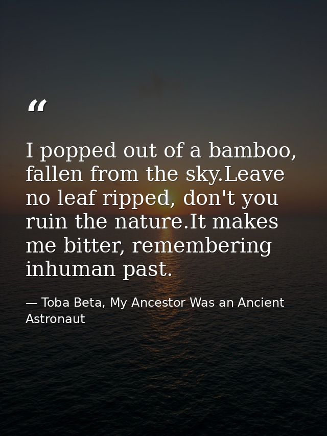 I popped out of a bamboo, fallen from the sky.Leave no leaf ripped, don't you ruin the nature.It makes me bitter, rememb — Toba Beta, My Ancestor Was an Ancient Astronaut