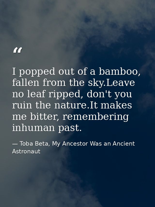 I popped out of a bamboo, fallen from the sky.Leave no leaf ripped, don't you ruin the nature.It makes me bitter, rememb — Toba Beta, My Ancestor Was an Ancient Astronaut