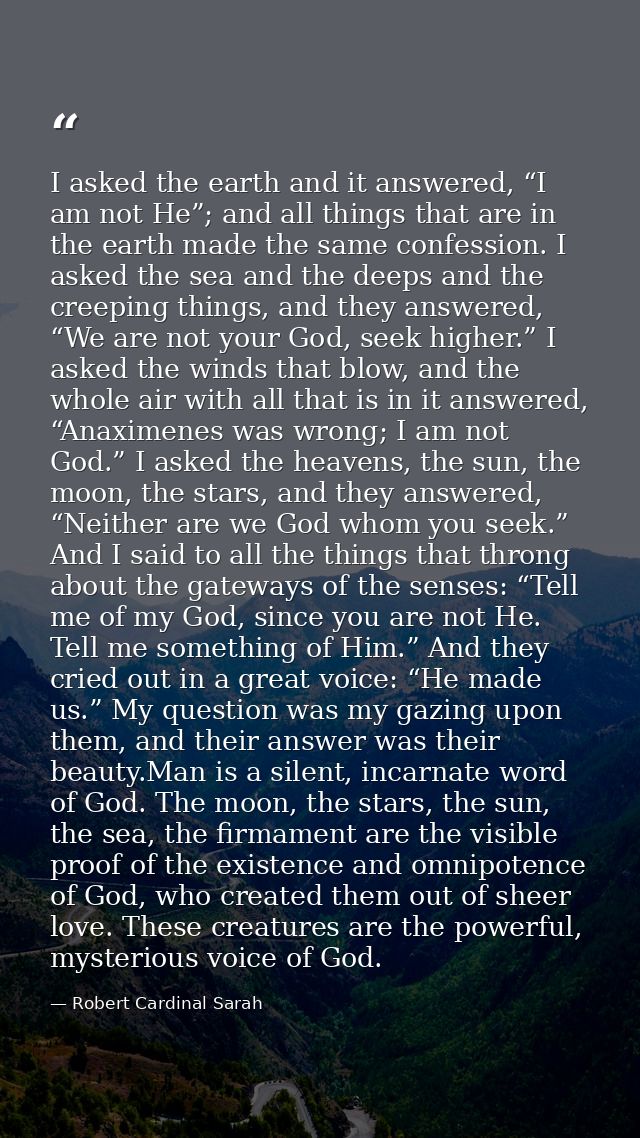 I asked the earth and it answered, “I am not He”; and all things that are in the earth made the same confession. I asked — Robert Cardinal Sarah