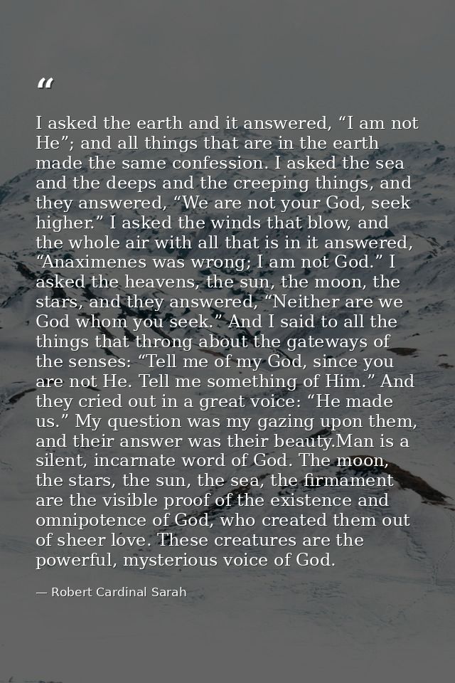 I asked the earth and it answered, “I am not He”; and all things that are in the earth made the same confession. I asked — Robert Cardinal Sarah