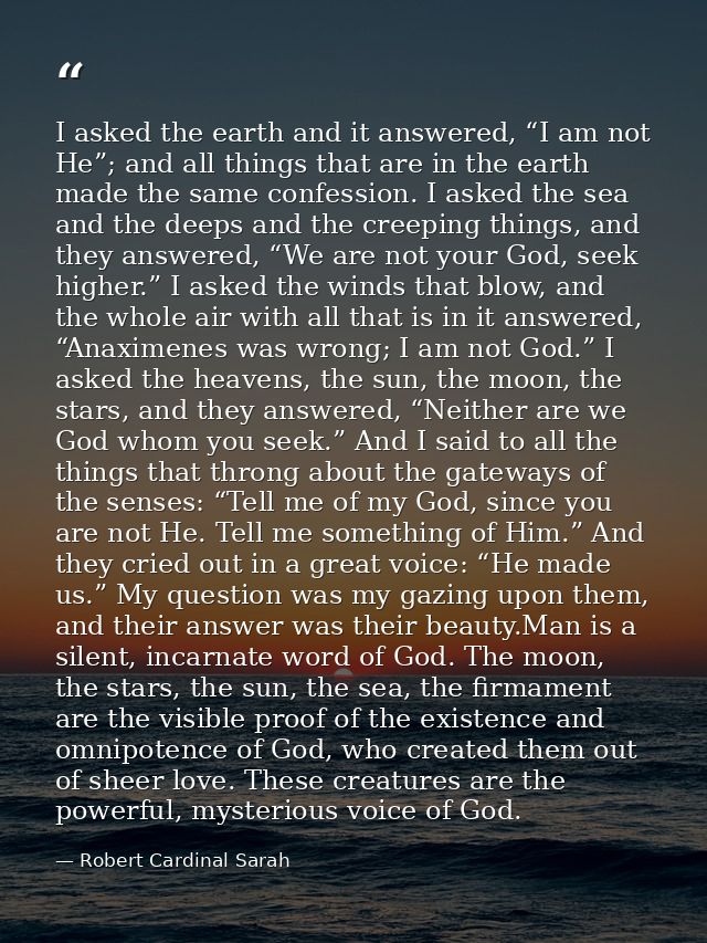 I asked the earth and it answered, “I am not He”; and all things that are in the earth made the same confession. I asked — Robert Cardinal Sarah