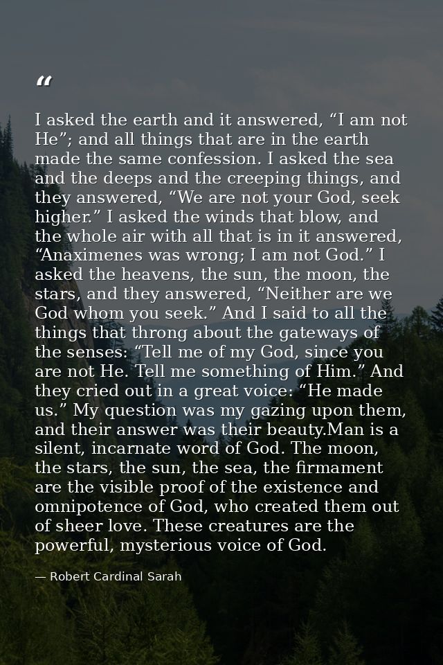 I asked the earth and it answered, “I am not He”; and all things that are in the earth made the same confession. I asked — Robert Cardinal Sarah
