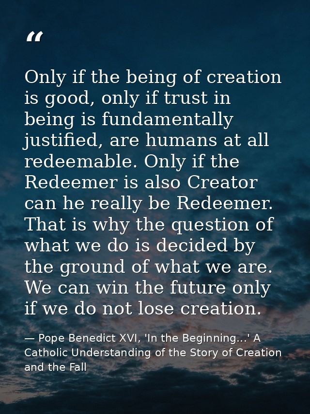 Only if the being of creation is good, only if trust in being is fundamentally justified, are humans at all redeemable.  — Pope Benedict XVI, 'In the Beginning...' A Catholic Understanding of the Story of Creation and the Fall