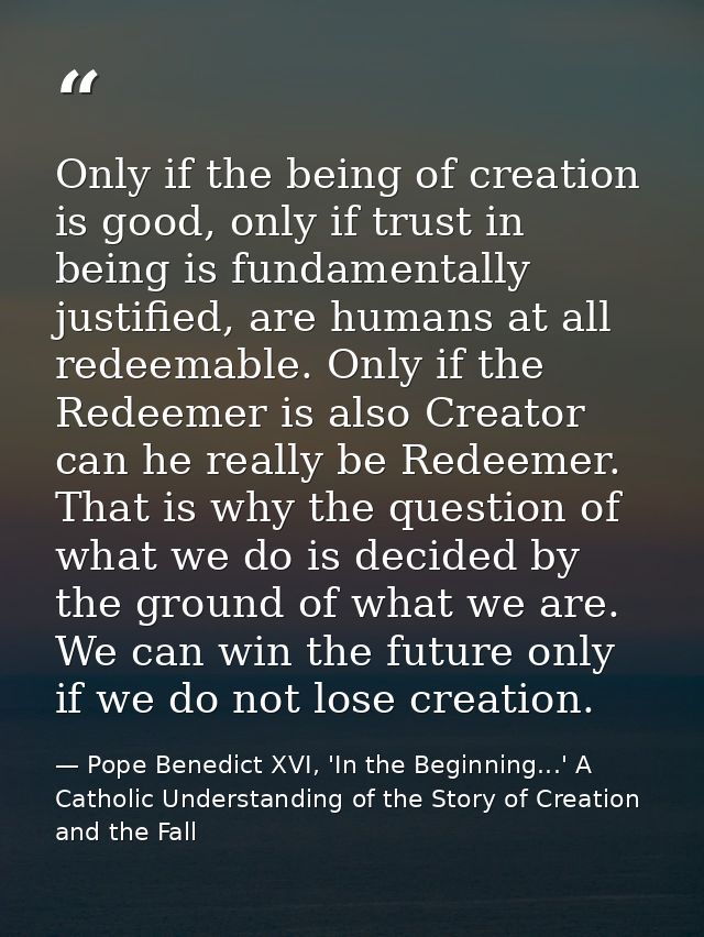 Only if the being of creation is good, only if trust in being is fundamentally justified, are humans at all redeemable.  — Pope Benedict XVI, 'In the Beginning...' A Catholic Understanding of the Story of Creation and the Fall