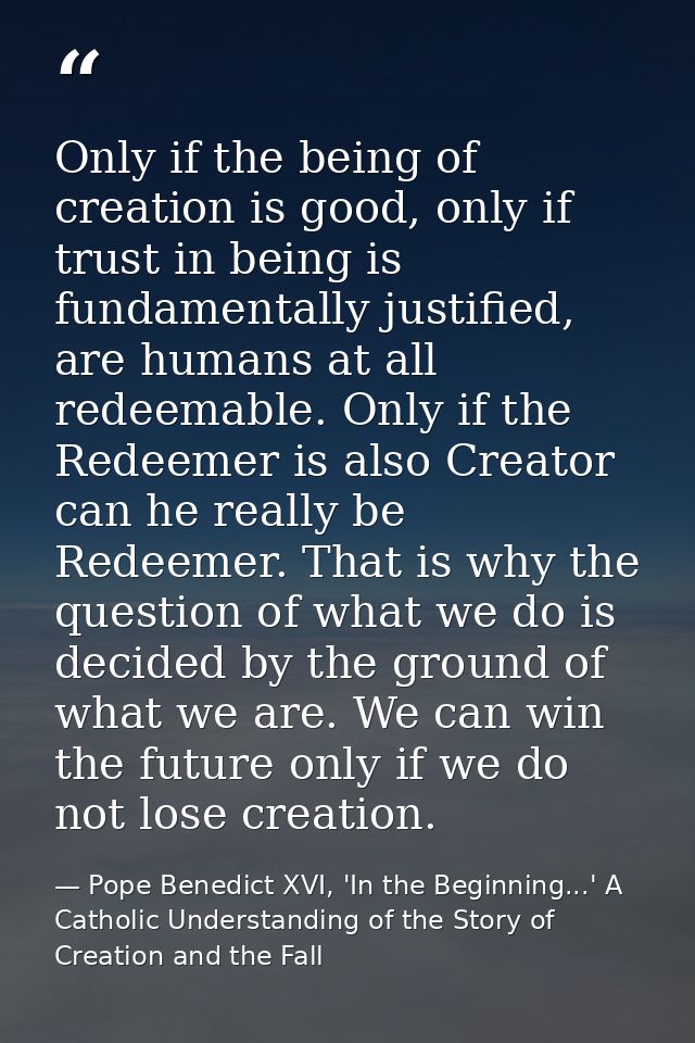 Only if the being of creation is good, only if trust in being is fundamentally justified, are humans at all redeemable.  — Pope Benedict XVI, 'In the Beginning...' A Catholic Understanding of the Story of Creation and the Fall