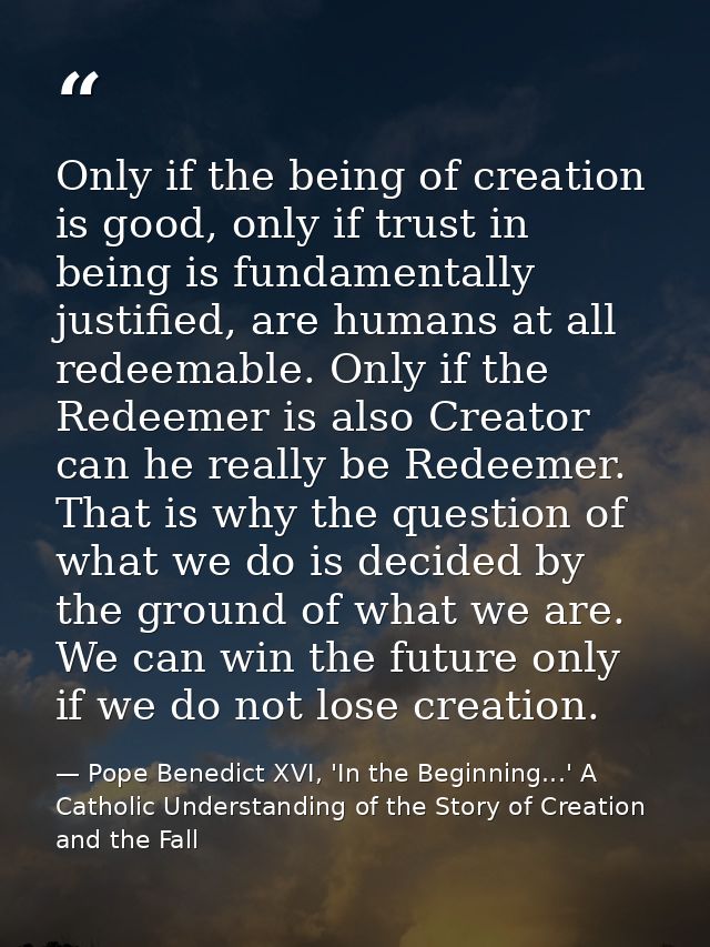 Only if the being of creation is good, only if trust in being is fundamentally justified, are humans at all redeemable.  — Pope Benedict XVI, 'In the Beginning...' A Catholic Understanding of the Story of Creation and the Fall