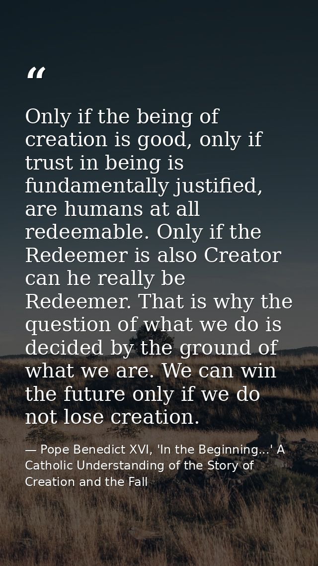 Only if the being of creation is good, only if trust in being is fundamentally justified, are humans at all redeemable.  — Pope Benedict XVI, 'In the Beginning...' A Catholic Understanding of the Story of Creation and the Fall