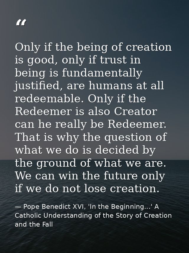 Only if the being of creation is good, only if trust in being is fundamentally justified, are humans at all redeemable.  — Pope Benedict XVI, 'In the Beginning...' A Catholic Understanding of the Story of Creation and the Fall
