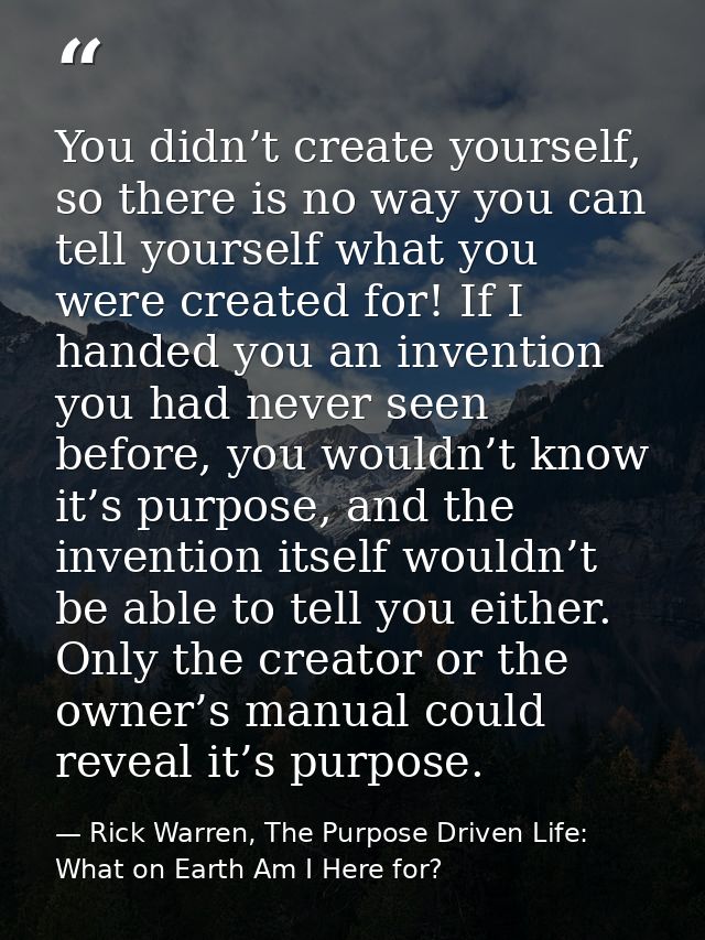 You didn’t create yourself, so there is no way you can tell yourself what you were created for! If I handed you an inven — Rick Warren, The Purpose Driven Life: What on Earth Am I Here for?