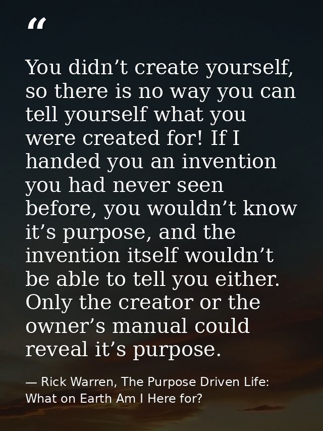 You didn’t create yourself, so there is no way you can tell yourself what you were created for! If I handed you an inven — Rick Warren, The Purpose Driven Life: What on Earth Am I Here for?