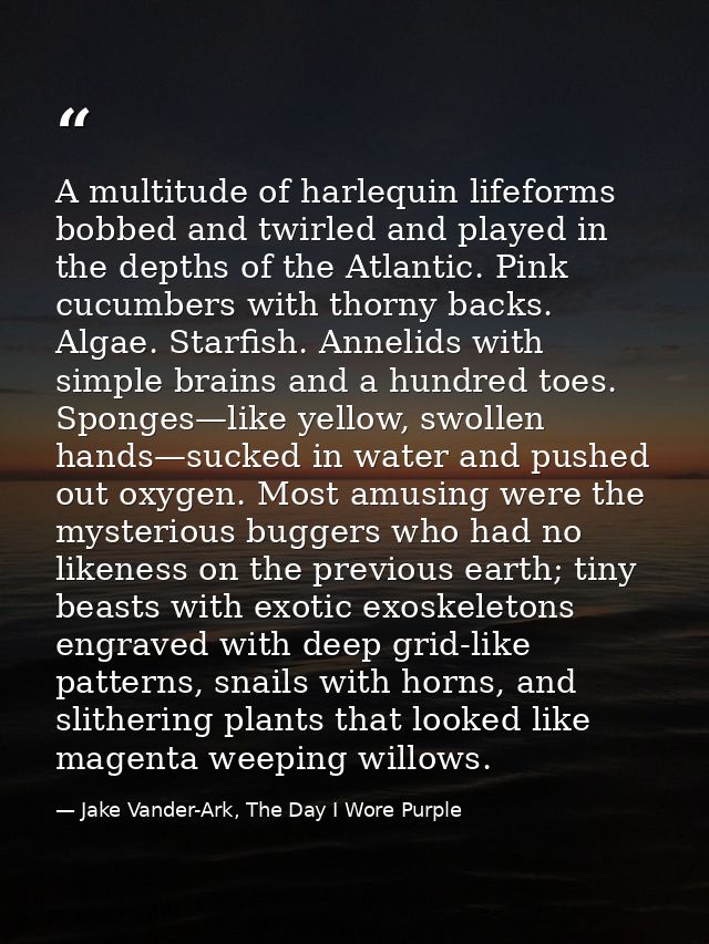 A multitude of harlequin lifeforms bobbed and twirled and played in the depths of the Atlantic. Pink cucumbers with thor — Jake Vander-Ark, The Day I Wore Purple
