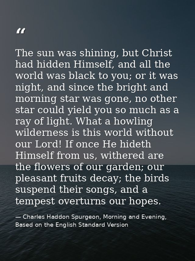 The sun was shining, but Christ had hidden Himself, and all the world was black to you; or it was night, and since the b — Charles Haddon Spurgeon, Morning and Evening, Based on the English Standard Version