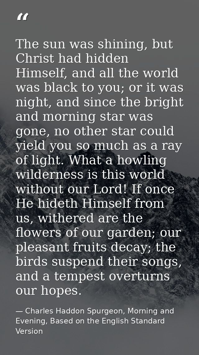 The sun was shining, but Christ had hidden Himself, and all the world was black to you; or it was night, and since the b — Charles Haddon Spurgeon, Morning and Evening, Based on the English Standard Version
