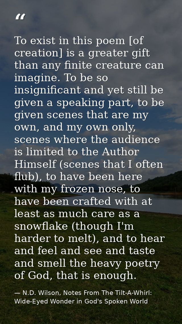 To exist in this poem [of creation] is a greater gift than any finite creature can imagine. To be so insignificant and y — N.D. Wilson, Notes From The Tilt-A-Whirl: Wide-Eyed Wonder in God's Spoken World