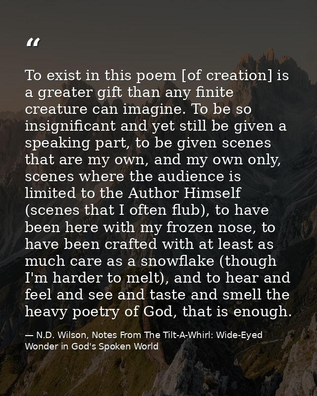 To exist in this poem [of creation] is a greater gift than any finite creature can imagine. To be so insignificant and y — N.D. Wilson, Notes From The Tilt-A-Whirl: Wide-Eyed Wonder in God's Spoken World